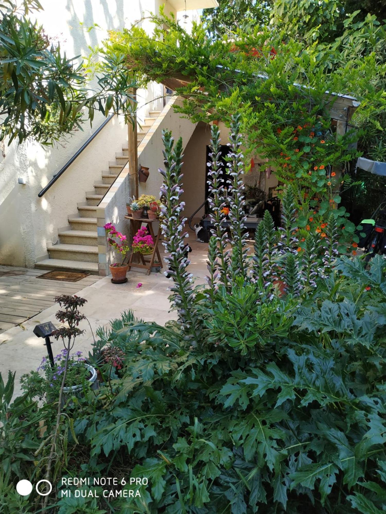 En Ville Avec Un Air De Campagne Arles Exterior foto